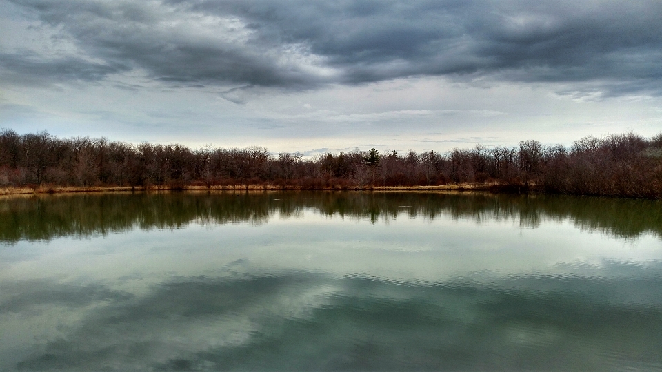 пейзаж дерево вода природа