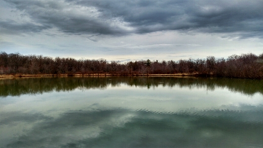 Landscape tree water nature Photo