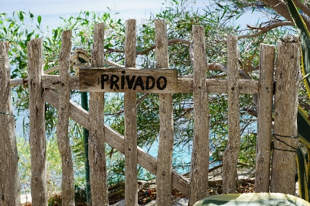 Beach sea tree fence Photo