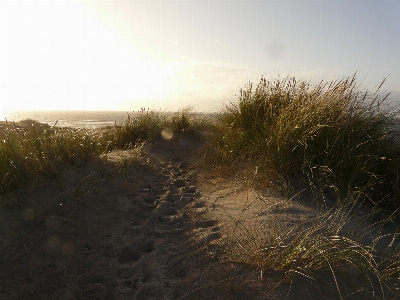 Beach landscape sea coast Photo