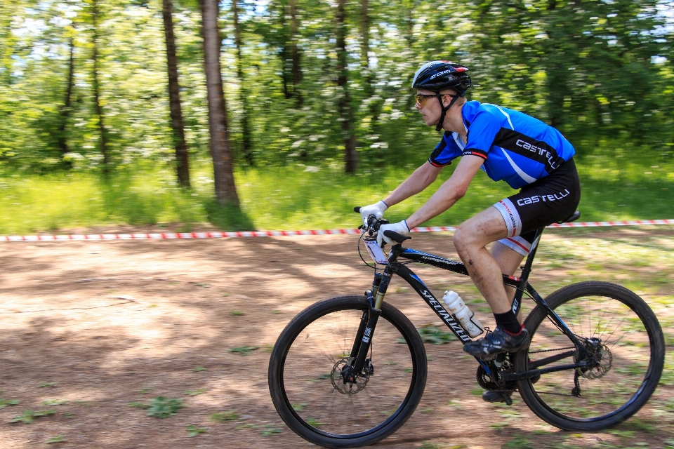 Forest bicycle bike summer