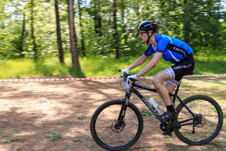 Forest bicycle bike summer Photo