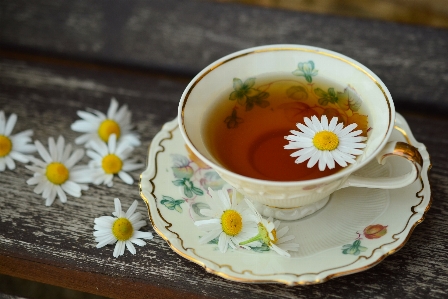 Tea flower cup dish Photo