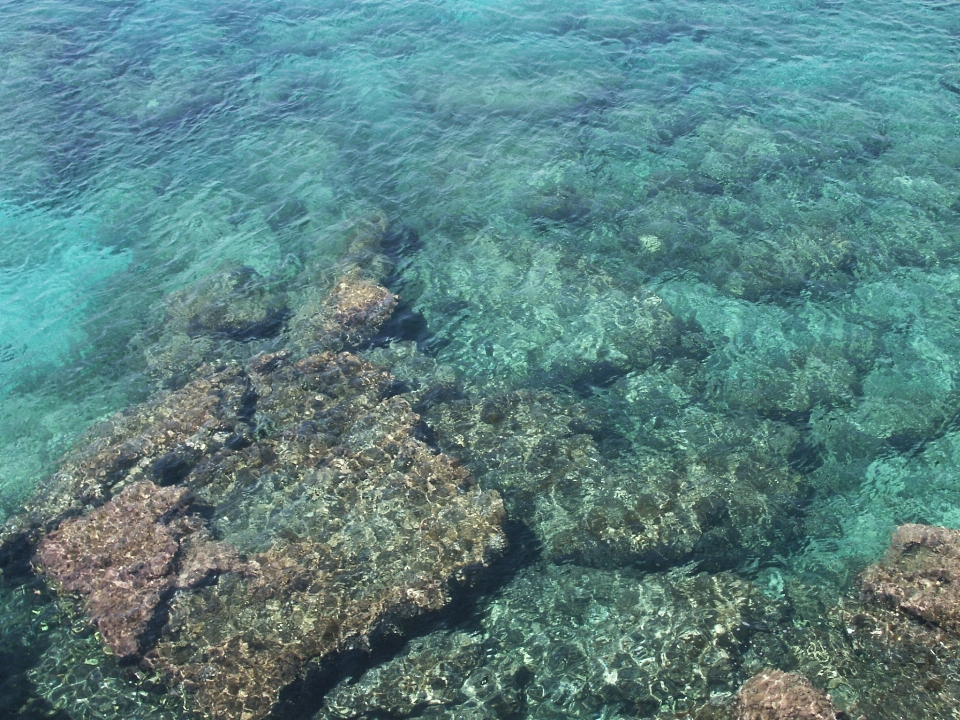 海 水 rock 水中