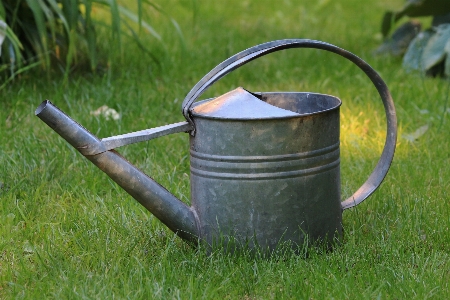 Grass lawn wheel tool Photo