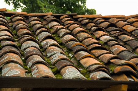 Architecture structure wood house Photo