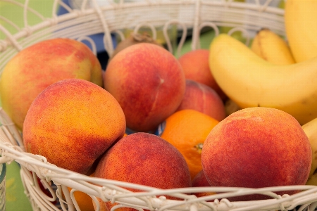 Apple plant fruit sweet Photo