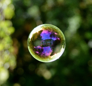 Photography leaf flower glass Photo