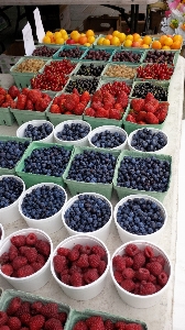 Nature plant raspberry fruit Photo