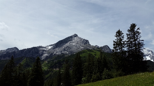 Foto Paisagem árvore natureza floresta