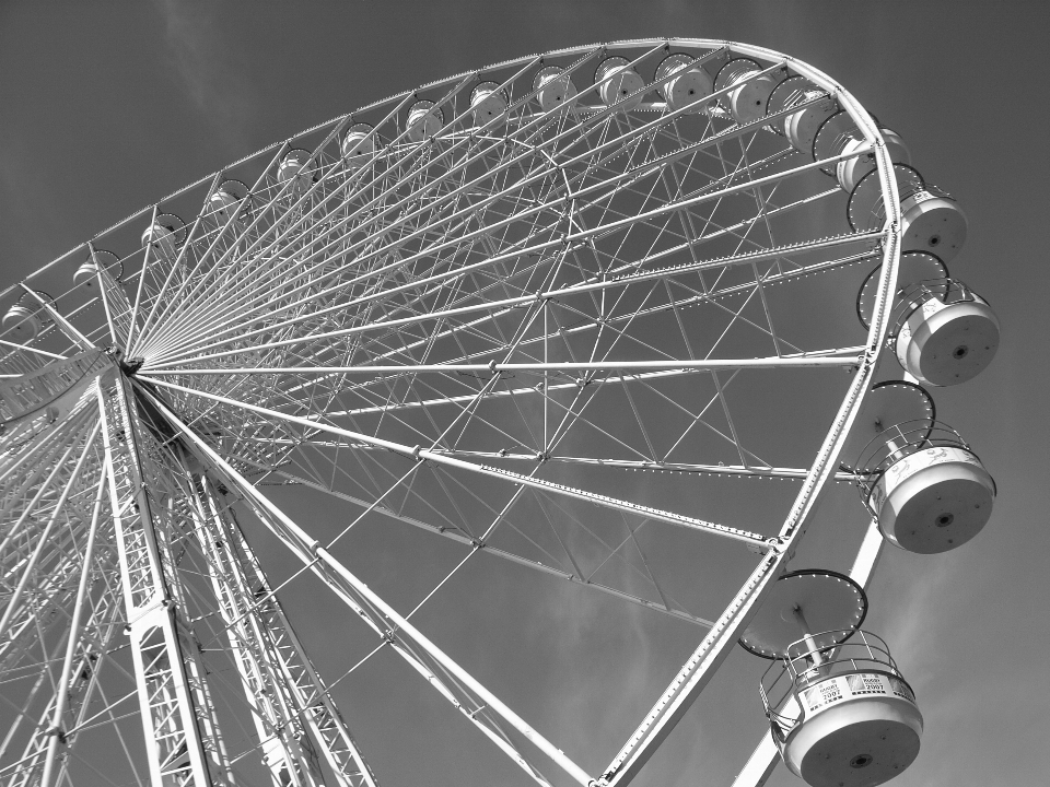 Aile noir et blanc
 ciel roue