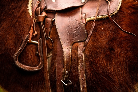 Leather animal rural equipment Photo