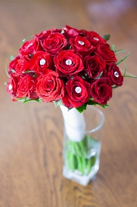 Plant flower petal bouquet Photo