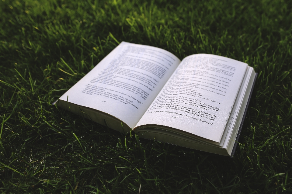 Nature grass book leaf