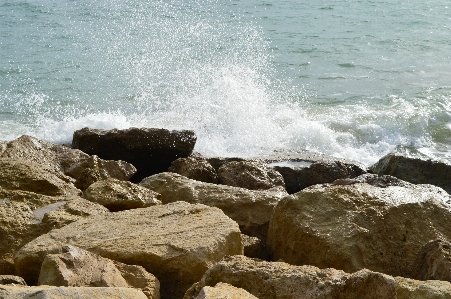 Beach sea coast water Photo