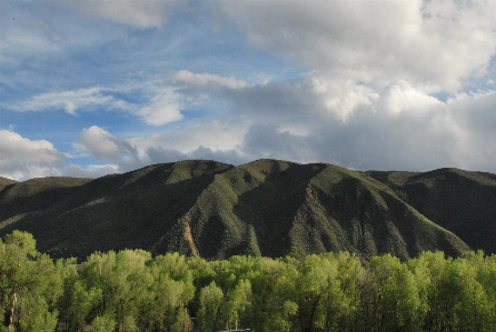 Landscape tree nature forest Photo