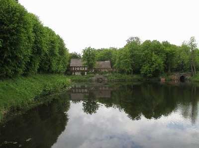 Tree lake river canal Photo