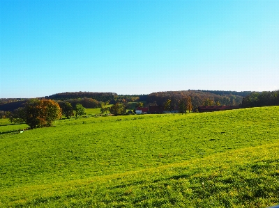 Landscape nature grass horizon Photo