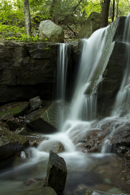 Agua naturaleza bosque rock