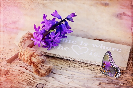 Wood flower purple petal Photo