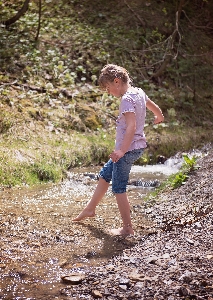 Water nature forest walking Photo