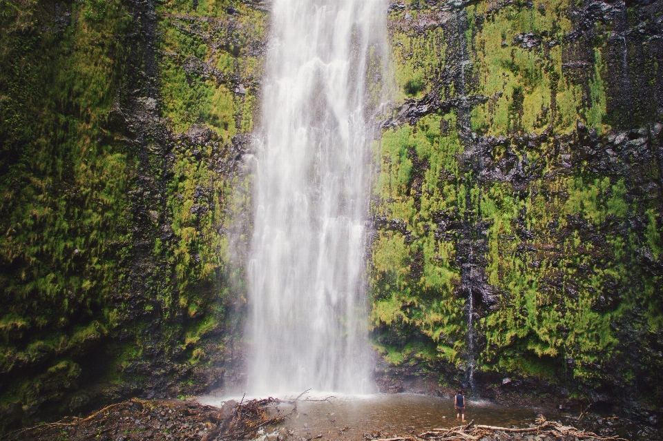 Acqua natura foresta all'aperto