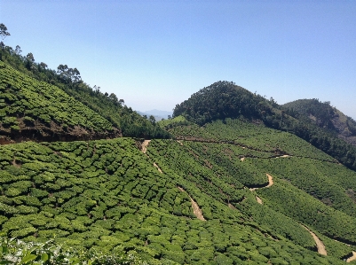 Landscape nature mountain field Photo