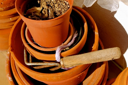 Plant wheel flower dish Photo