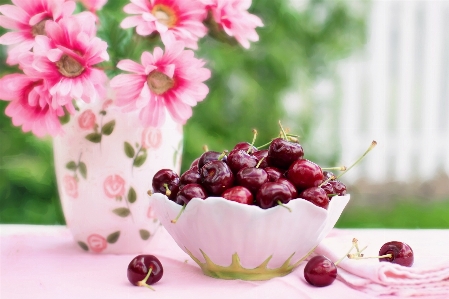 Branch blossom plant fruit Photo