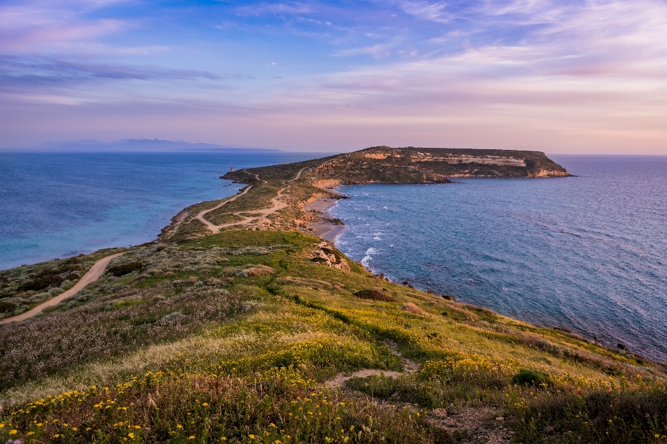 Beach landscape sea coast