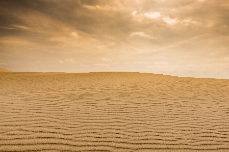 風景 自然 砂 地平線 写真