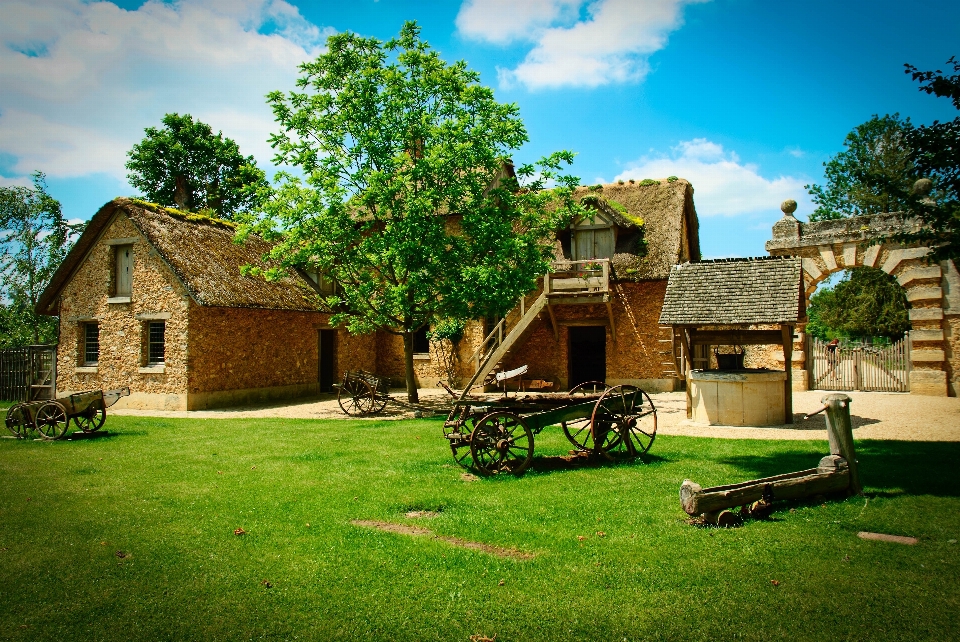 Césped granja villa mansión
