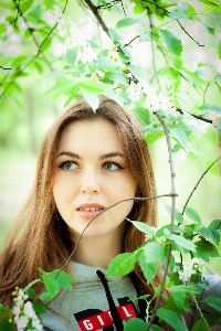 Tree nature grass person Photo