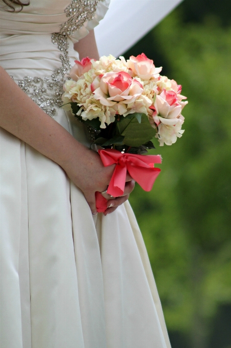 Usine femme blanc fleur