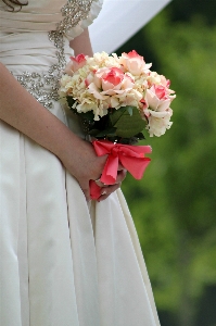 Plant woman white flower Photo