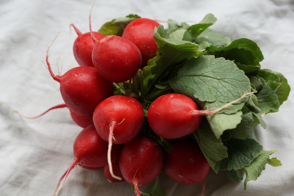 Plantar fruta flor comida