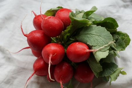 Plant fruit flower food Photo