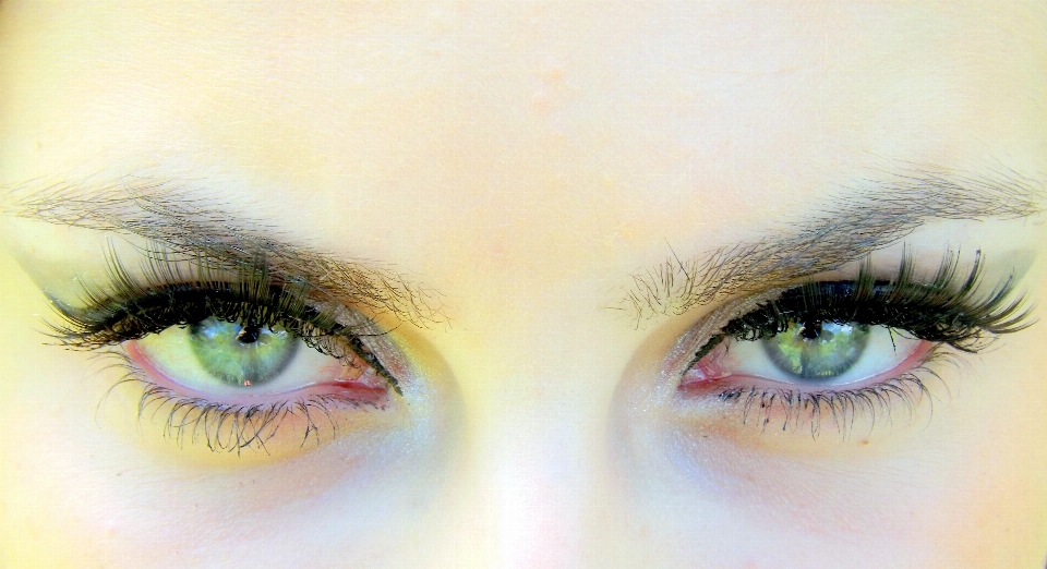 Green eyebrow eyelash close up