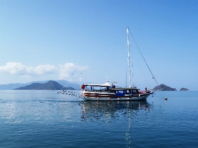 風景 海 海岸 水 写真