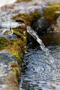 Tree water nature rock Photo