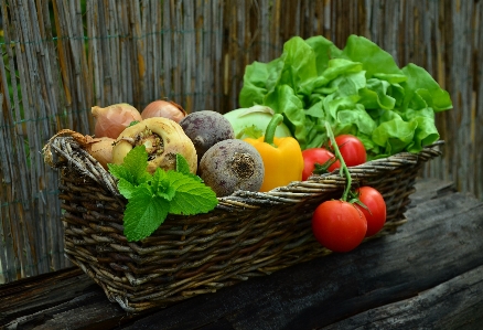 Plant fruit food salad Photo