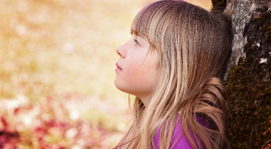 Tree nature person girl Photo