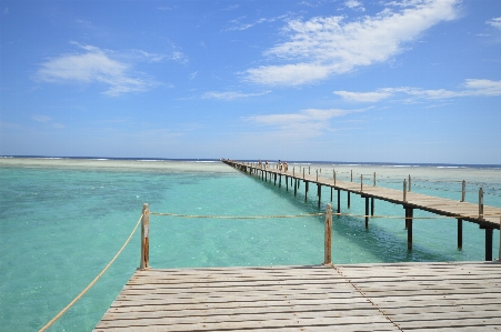 Beach landscape sea coast Photo