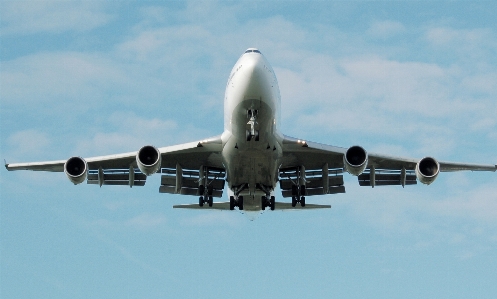 Fliege flugzeug jet fahrzeug Foto