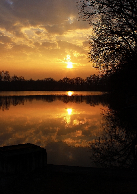 Wasser natur zweig wolke