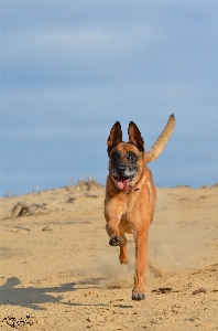 Beach sand sun warm Photo