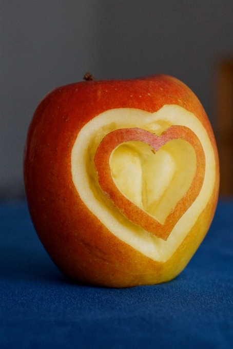 Apple planta fruta flor