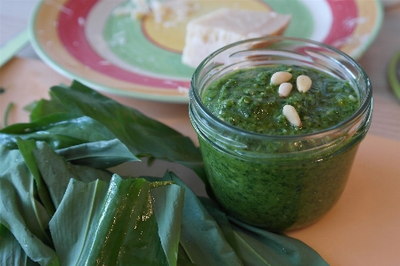 森 植物 皿 食べ物 写真