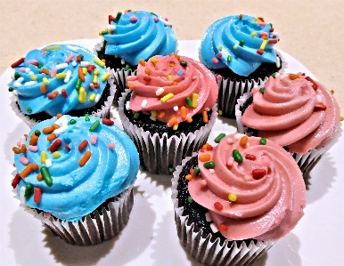 Sweet food cupcake dessert Photo