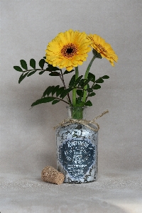 Plant flower vase decoration Photo